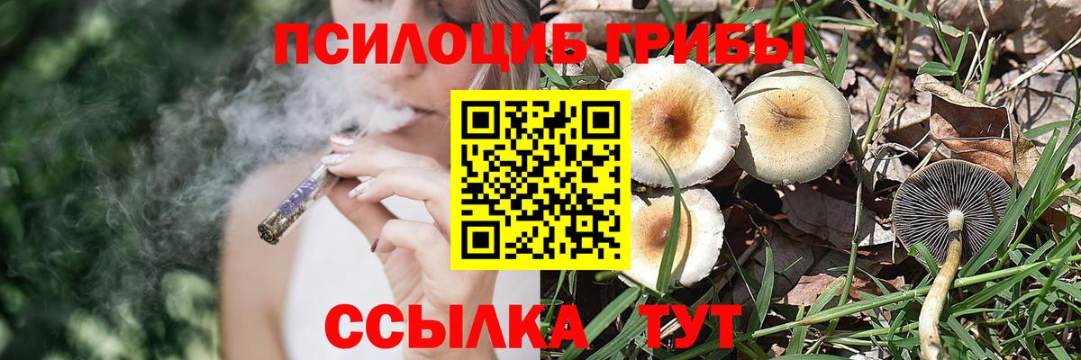 Тулун  Псилоцибиновые грибы мухоморы  Вход с VPN  Псилоцибиновые грибы Magic Shrooms 