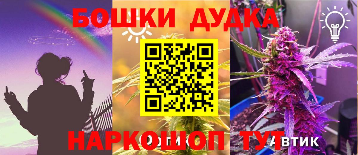 Бошки Шишки семена Тулун
